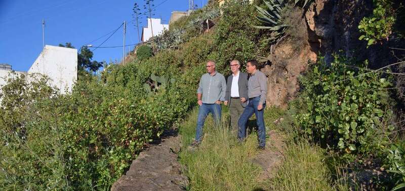 Visita del consejero insular de Agricultura y del alcalde a la zona (Foto TA)